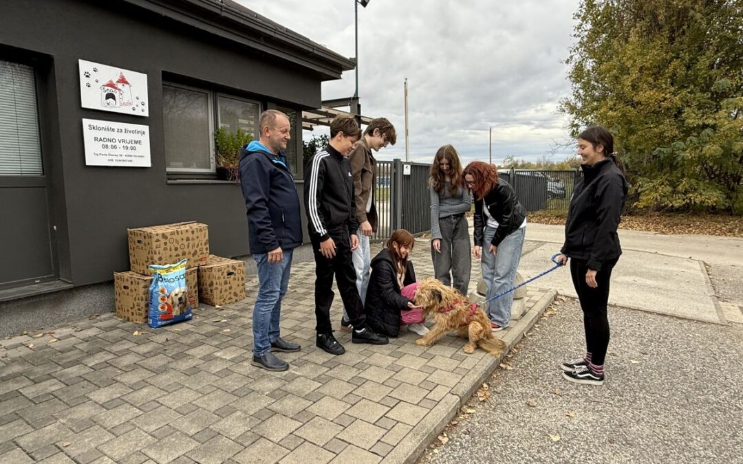 Predali smo donacije udrugama koje brinu o napuštenim životinjama
