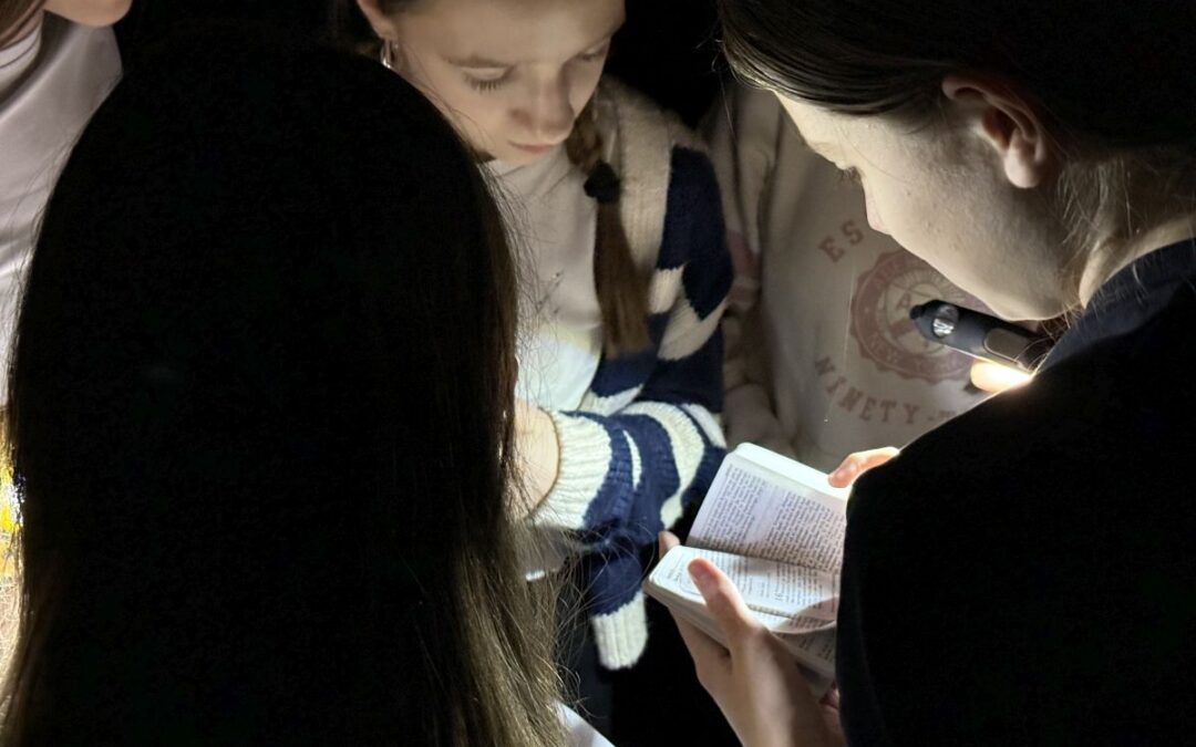 Počeli smo 15. službeni ciklus projekta Tulum s(l)ova