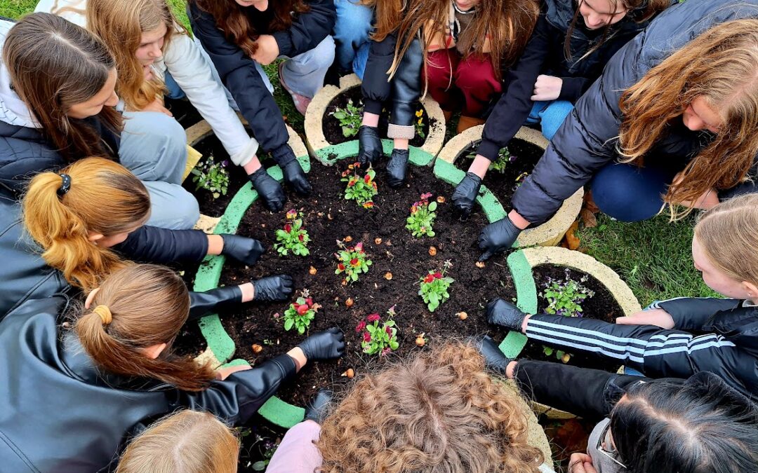 Projekt Šafran u šk. god. 2025./2026.